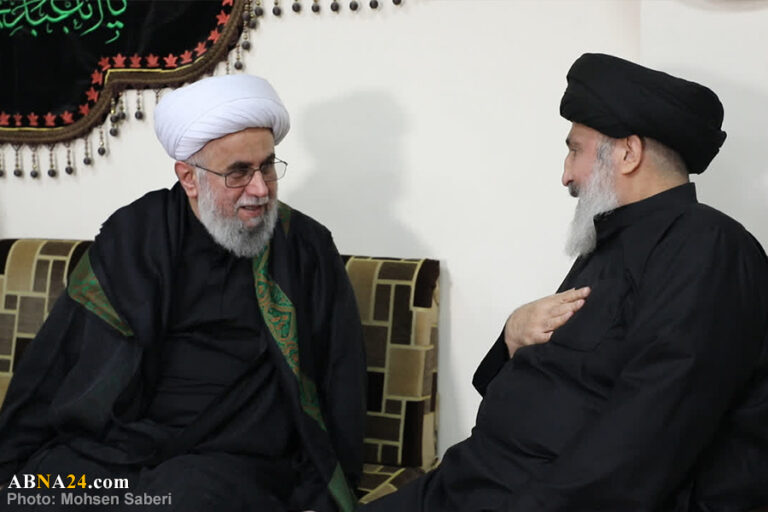 تقرير مصور / آية الله رمضاني يحضر في موكب الإمام الرضا (ع) في طريق الحسين (ع)