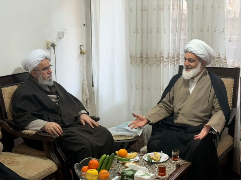 دیدار دبیرکل مجمع جهانی اهل‌بیت(ع) با آیت‌الله شیخ نجاح الطائی + تصاویر